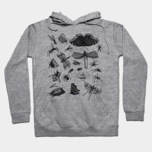 Moth cottagecore, fairycore and goblincore insect moon child Hoodie